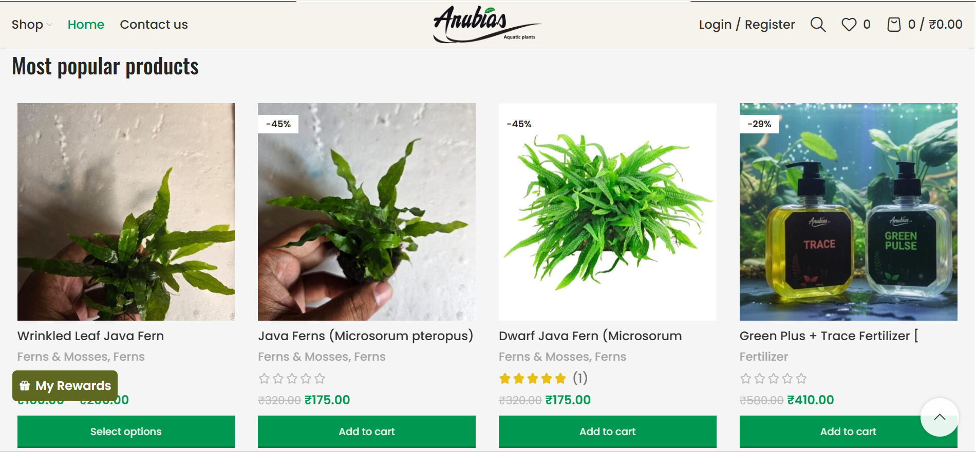 Anubias